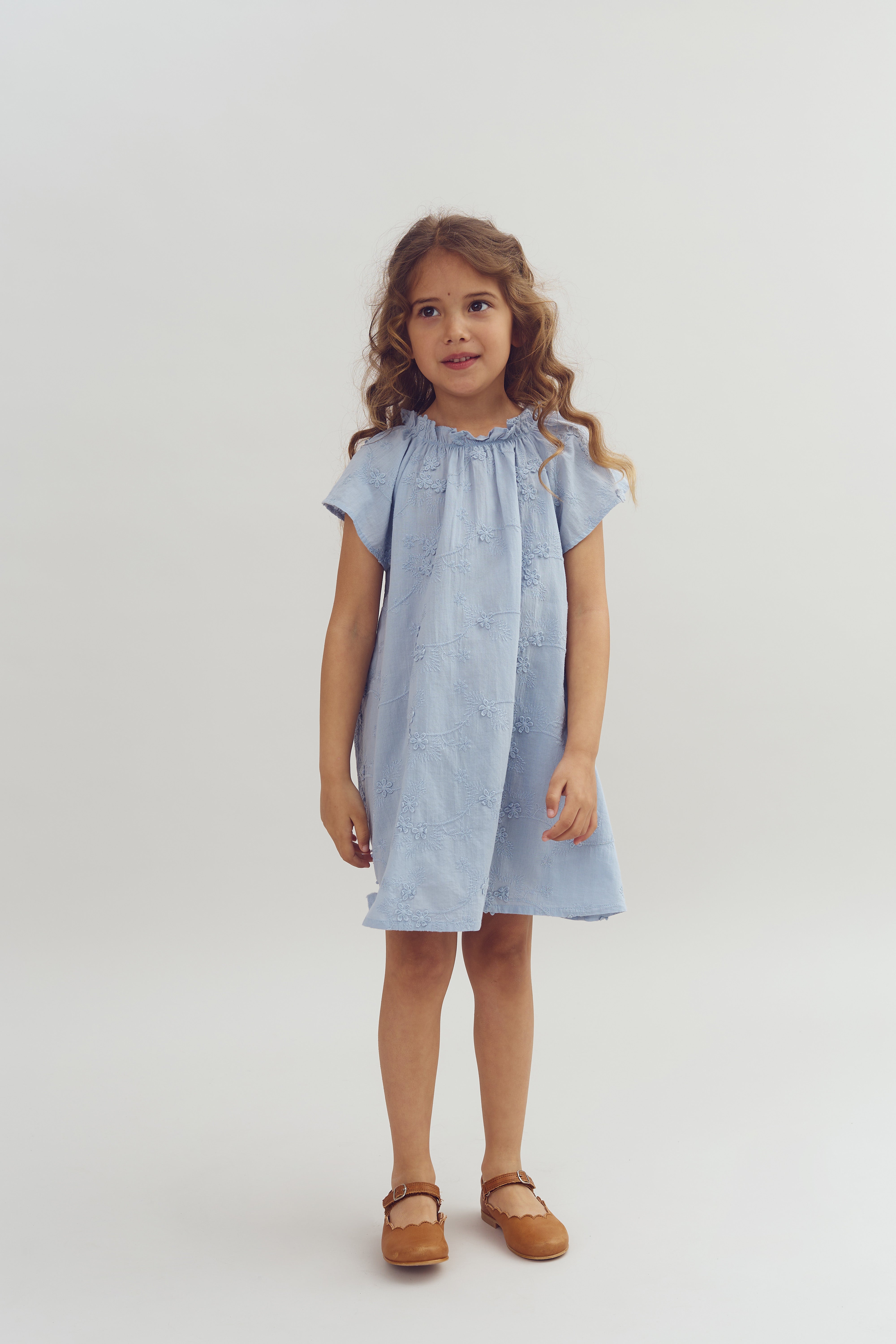A young girl stands wearing a light blue dress with floral embroidery and brown shoes, set against a plain white background.