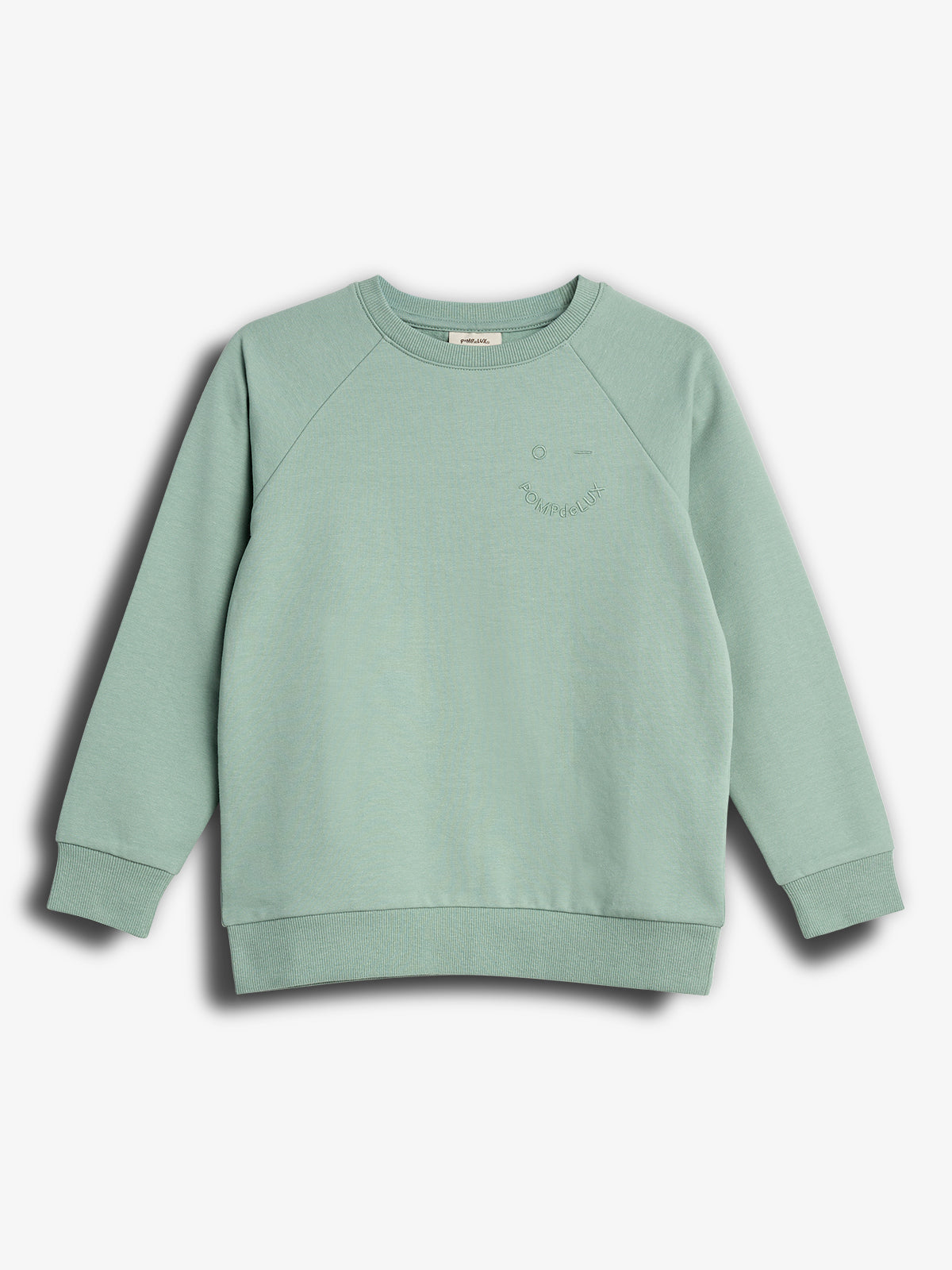 A mint green sweatshirt with ribbed cuffs and hem lays flat, featuring subtle embroidery on the left chest. The design is against a plain white background.