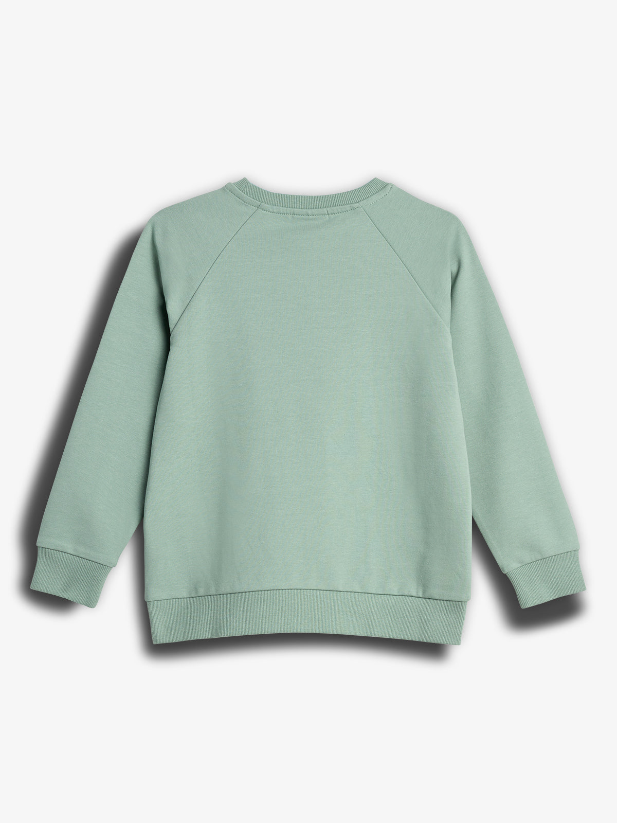 A light green sweatshirt is lying flat on a plain white background, showing its back with long sleeves and ribbed cuffs.