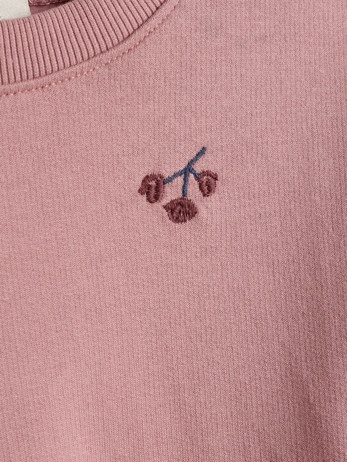 Sweatshirt mit Stickerei - Kids - Dusty Rose